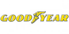 купить GOODYEAR в интернет-магазине Красноярск