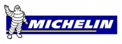 купить MICHELIN в интернет-магазине Красноярск